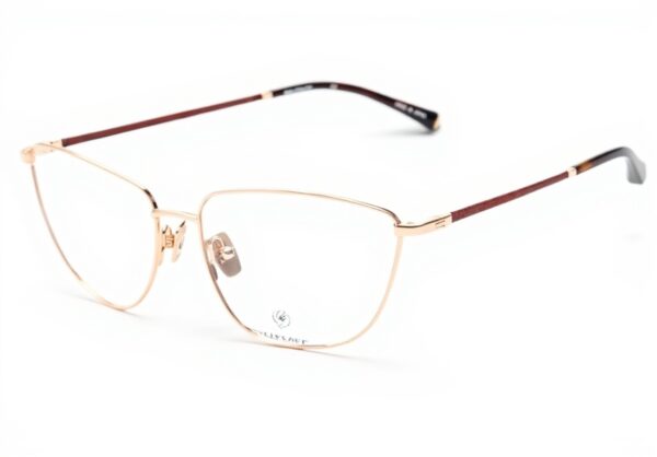 Belstaff Delmere Shiny Black Clip On Glasses Frame